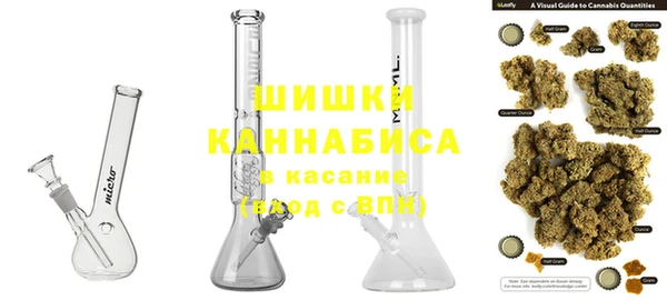 ПСИЛОЦИБИНОВЫЕ ГРИБЫ Дмитриев