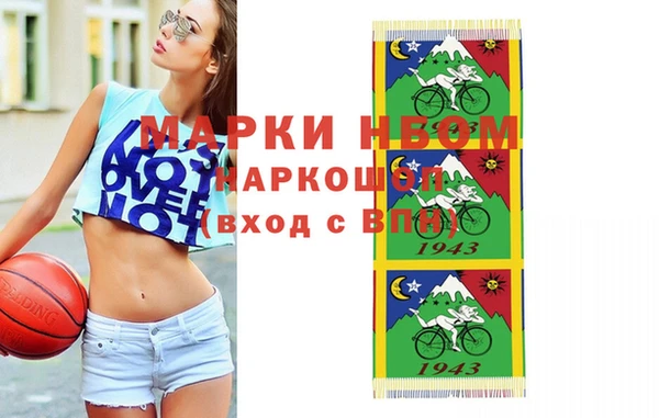 ПСИЛОЦИБИНОВЫЕ ГРИБЫ Дмитриев