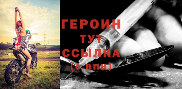ПСИЛОЦИБИНОВЫЕ ГРИБЫ Дмитриев