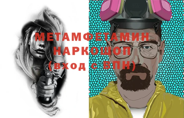 ПСИЛОЦИБИНОВЫЕ ГРИБЫ Дмитриев